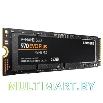 SSD диск Samsung 970 Evo Plus 250GB (MZ-V7S250BW) картинка 3